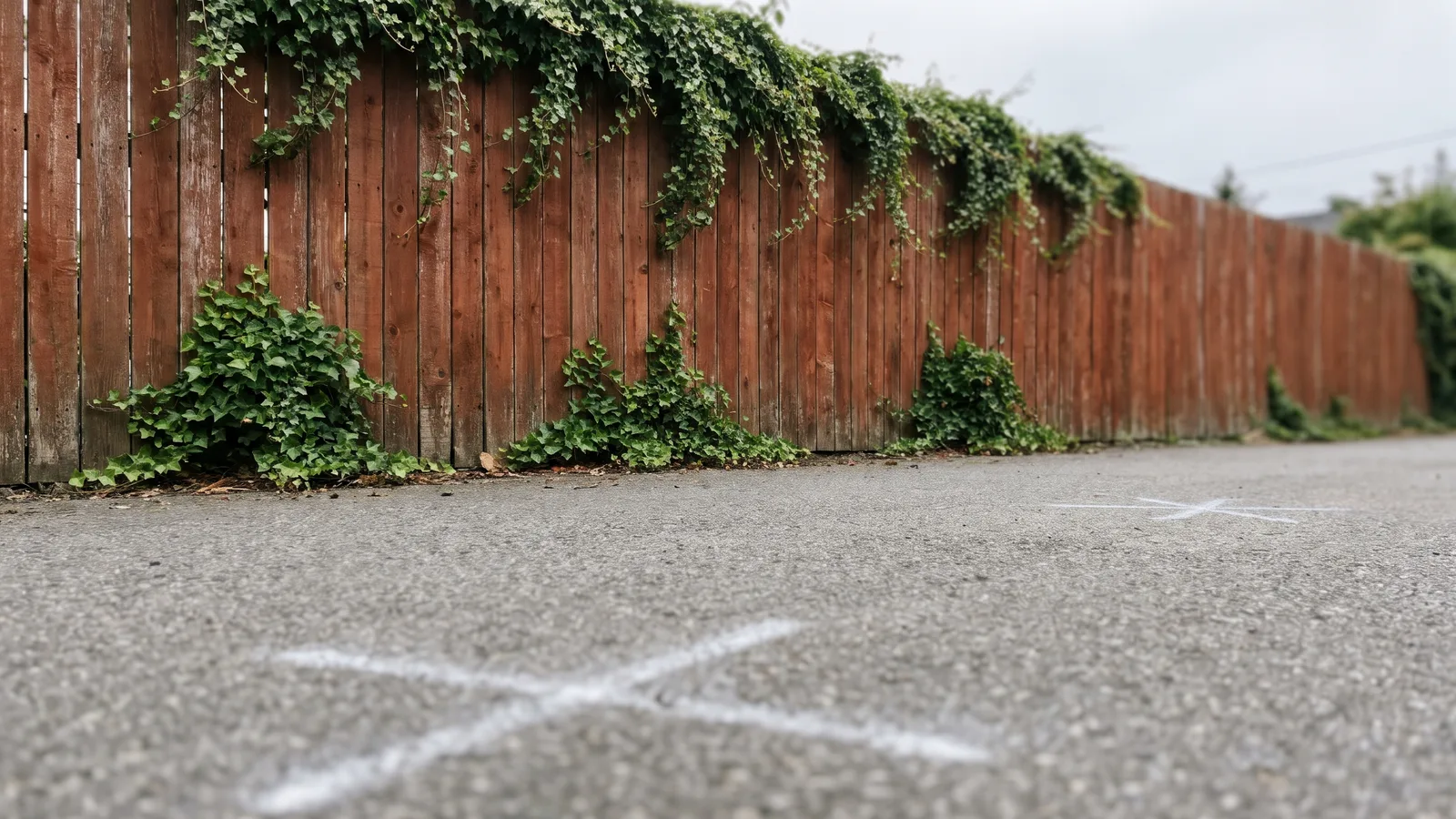 A red wooden plank fence with ivy along the top, seen through a fisheye lens, with two empty chalk marks on the asphalt in front of it